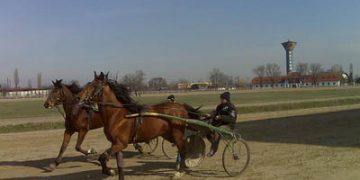 Vor fi curse de trap din septembrie? Dan Ioniță zice că DA