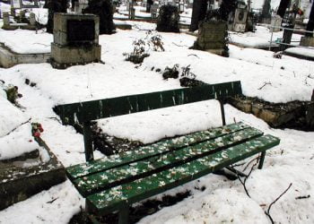Cimitirul Bolovani a devenit wc-ul public al ciorilor