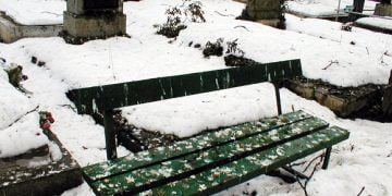 Cimitirul Bolovani a devenit wc-ul public al ciorilor