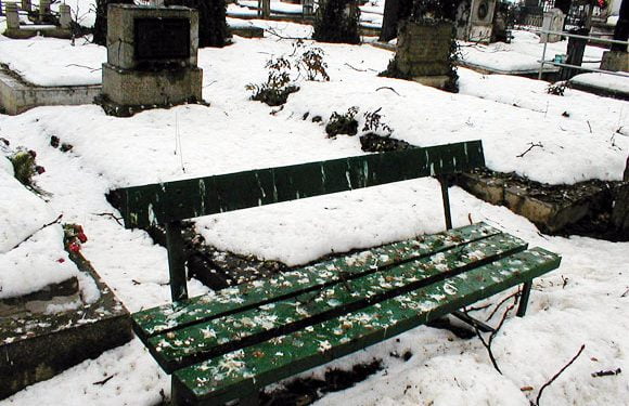 Cimitirul Bolovani a devenit wc-ul public al ciorilor