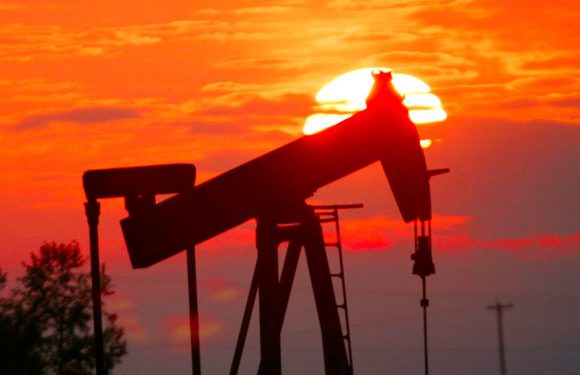 Retehnologizarea produce victime. La BAF Dărmănești din 80 de angajați mai rămân 12