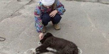 Arata ca iti pasa! Vino la Flashmob-ul impotriva eutanasierii!