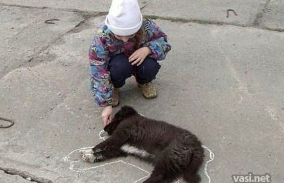 Arata ca iti pasa! Vino la Flashmob-ul impotriva eutanasierii!