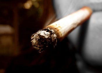 Cannabis şi muniţie de război găsite la domiciliul unui tânăr din Sinaia în urma unei percheziţii