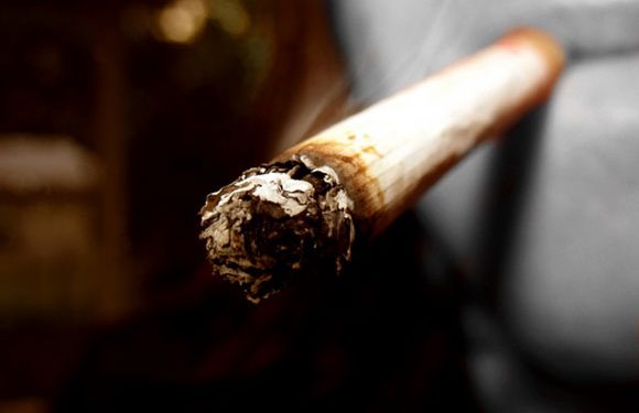 Cannabis şi muniţie de război găsite la domiciliul unui tânăr din Sinaia în urma unei percheziţii