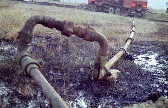 Poliția e la datorie. Mocofanu a fost prins