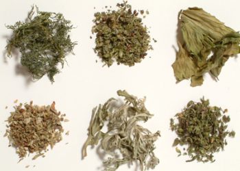 Ministerul Sanatatii a suplimentat lista substantelor halucinogene interzise