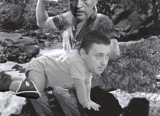 Cosma îi mai dă o lecție lui Volo. Își face serviciu de pază la Consiliul Județean