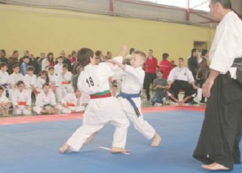 KARATE- INVITATIE  LA CUPA ROMÂNIEI