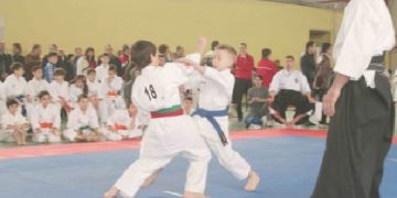 KARATE- INVITATIE  LA CUPA ROMÂNIEI