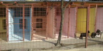 Botnita pentru iubitorii de animale? 24 de padocuri ultramoderne la Adapostul Bucov