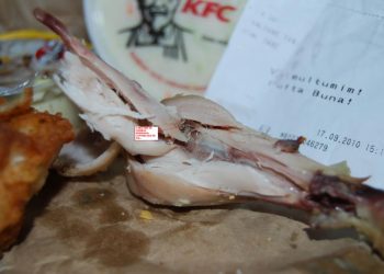 Carnea de la KFC Piata Romana este plina de viermi sau e reteta proprie?