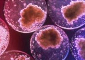 Clarificari pe piata de celule stem