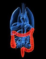 Martie  este “Luna Internationala de Lupta Impotriva Cancerului Intestinului Gros”?