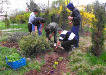 Actiuni ecologice pe banda rulanta ale elevilor Grupului Scolar Toma Socolescu