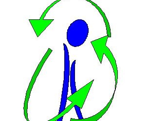 Un nou proiect la Mizil- Implementarea sistemului integrat de management calitate-mediu-sănătate la Primăria Oraşului Mizil