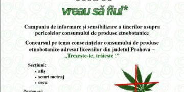 „SUNT CEEA CE VREAU SĂ FIU!” s-a incheiat. Rezultatele sunt promitatoare