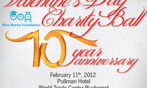 Eleganţă, rafinament şi artă la Valentine’s Day Charity Ball