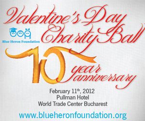 Eleganţă, rafinament şi artă la Valentine’s Day Charity Ball