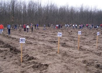 Haideţi să plantăm fapte bune!