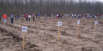 Haideţi să plantăm fapte bune!