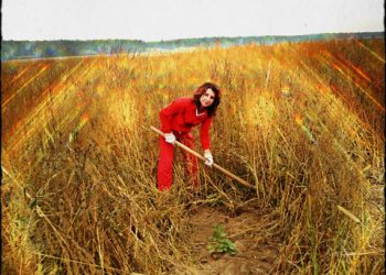 Plantăm fapte bune în România demarează împăduririle din această toamnă în Breaza