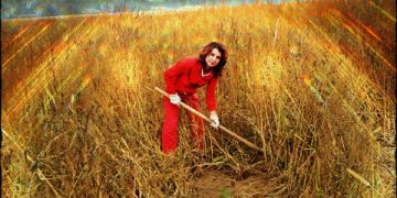 Plantăm fapte bune în România demarează împăduririle din această toamnă în Breaza