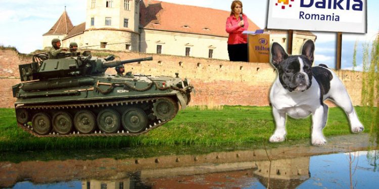 Numai cu tancul se poate trece peste cainele de paza al directorului Dalkia? Jocurile cui le face Nicoleta Rizea?