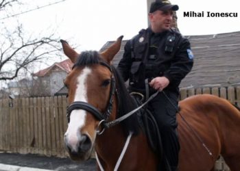Acuze de luare de mita la adresa a doi politisti locali