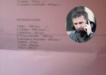 Donald inoveaza? Sub conducerea lui, copacii sunt CASATI