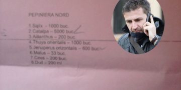 Donald inoveaza? Sub conducerea lui, copacii sunt CASATI