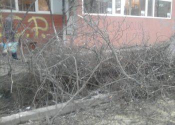 Facerea de bine e… de mama. Conducerea SGU a vrut sa ajute niste romi din Mimiu, iar ei au uitat sa ridice crengile ramase in urma toaletarii