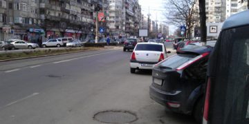 Politia sta la panda?