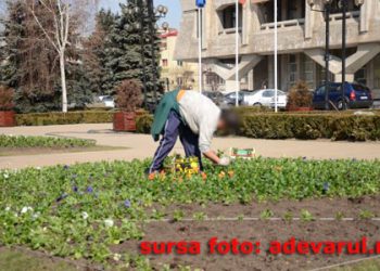Angajat SGU depistat de conducere cu 0,7 % acolemie