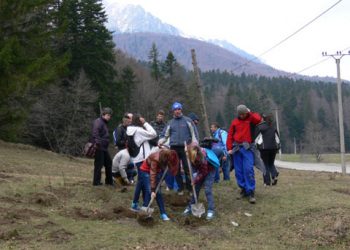 90 de elevi au participat la acţiunea de plantare a arbuştilor fructiferi de zmeur, pe Valea Cerbului, această activitate având şi un caracter educativ