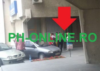 Jurnalistul “Administrator” de la ph-online are o logica de lemn. Cica mitingul pentru caini a fost pus la cale de PDL