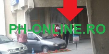 Jurnalistul “Administrator” de la ph-online are o logica de lemn. Cica mitingul pentru caini a fost pus la cale de PDL