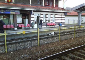 Jenant//Gara de Vest a ramas fara curent electric in jurul orelor 8.45