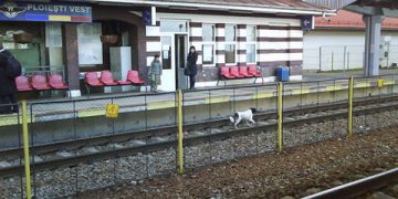 Jenant//Gara de Vest a ramas fara curent electric in jurul orelor 8.45
