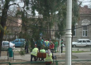 Rosal sapa “morminte” langa ghene si obstructioneaza accesul in parcare