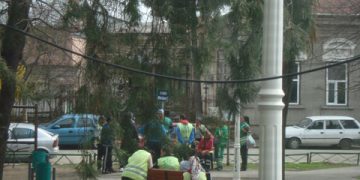 Rosal sapa “morminte” langa ghene si obstructioneaza accesul in parcare