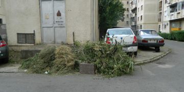Sesizare de la cetateni// Cum intelege SGU Ploiesti sa isi termine “capodopera”…