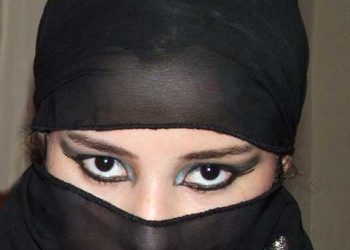 Ce-are sula cu prefectura sau Corina Ungureanu cu europarlamentarele?