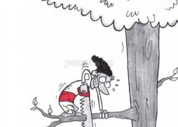 ONG-ul lui Tariceanu este un afront adus societatii civile, iar conducerea PNL este lipsita de creier si fara o reactie normala. Vezi care e solutia