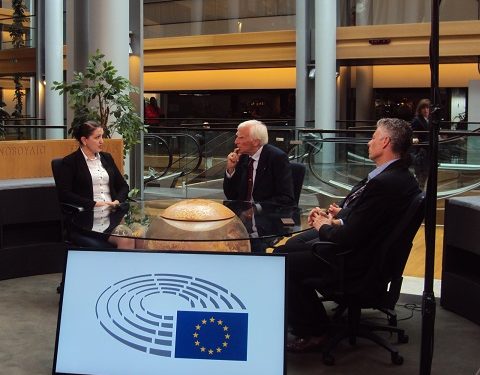 Situatia cainilor fara stapan din Romania – dezbatuta la Parlamentul European