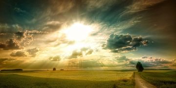 Când lupii tac, se aud javrele