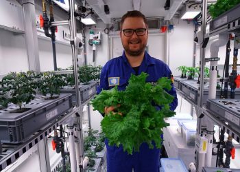 Primele legume din Antarctica fara sol sau lumina soarelui