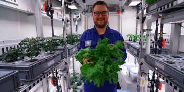 Primele legume din Antarctica fara sol sau lumina soarelui