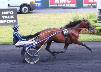 IDAO, în goană spre Paris?  