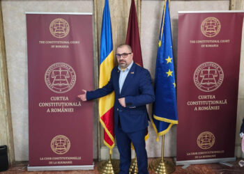 Deputatul AUR, Ciprian Titi Stoica a tinut cont de solicitarea noastra si luni va depune interpelare parlamentara in sprijinul d-nei Vasilica Mihaila, pentru ca autoritatile sa solutioneze acest caz